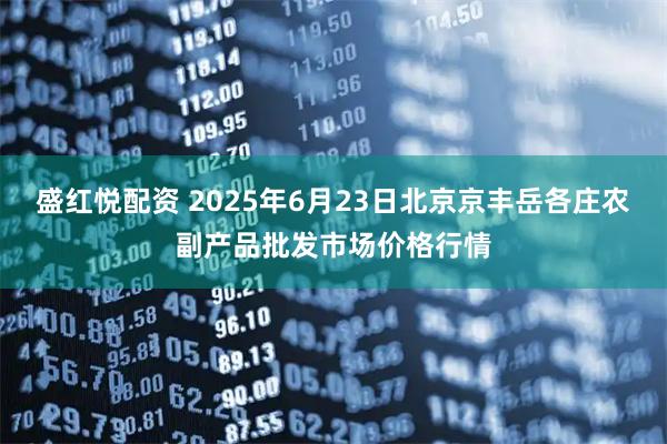 盛红悦配资 2025年6月23日北京京丰岳各庄农副产品批发市场价格行情