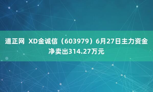 道正网  XD金诚信（603979）6月27日主力资金净卖出314.27万元