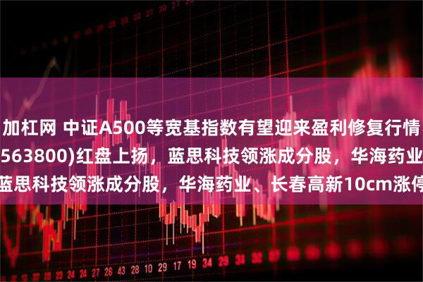 加杠网 中证A500等宽基指数有望迎来盈利修复行情，中证A500ETF龙头(563800)红盘上扬，蓝思科技领涨成分股，华海药业、长春高新10cm涨停
