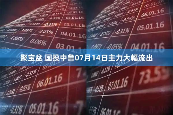 聚宝盆 国投中鲁07月14日主力大幅流出