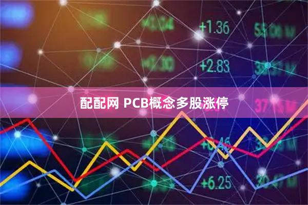 配配网 PCB概念多股涨停