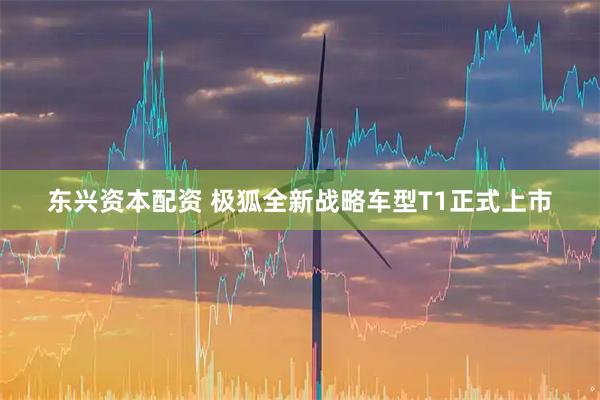东兴资本配资 极狐全新战略车型T1正式上市